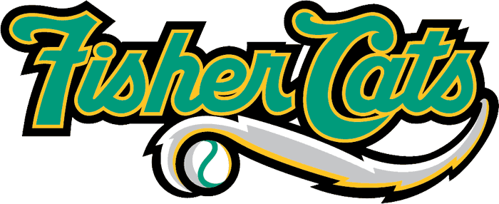 New Hampshire Fisher Cats 2008-2010 wordmark logo iron on transfers for clothing